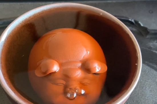 茶宠会死掉吗