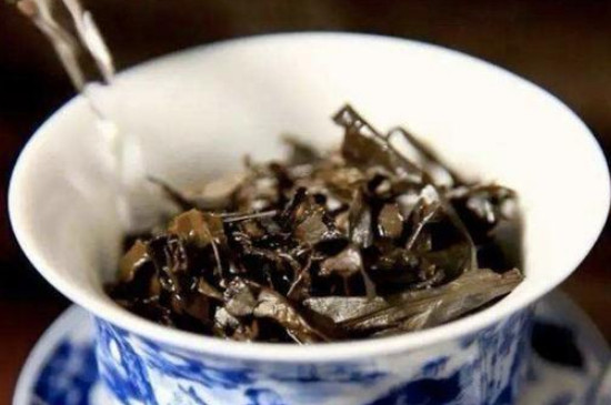 福鼎老白茶饼的泡法