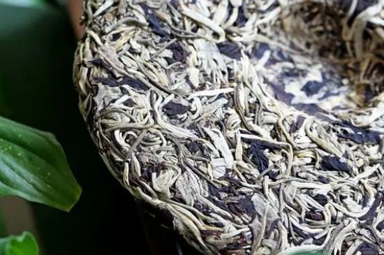 月光美人屬於什麼茶多少錢一斤