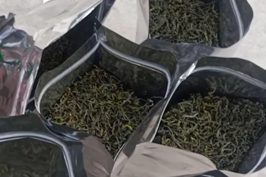 雲霧茶是綠茶嗎