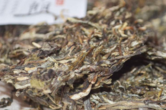 普洱茶餅可以晒太陽嗎