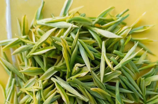 安吉白茶是绿茶吗