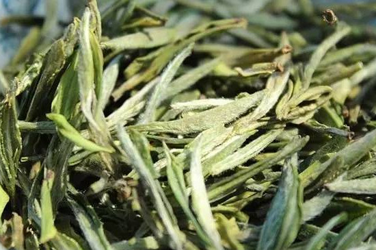 綠茶過了保質期還能喝嗎