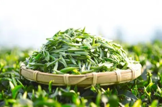 蒙頂甘露幹茶特點
