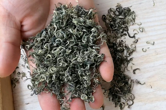 碧螺春属于什么茶