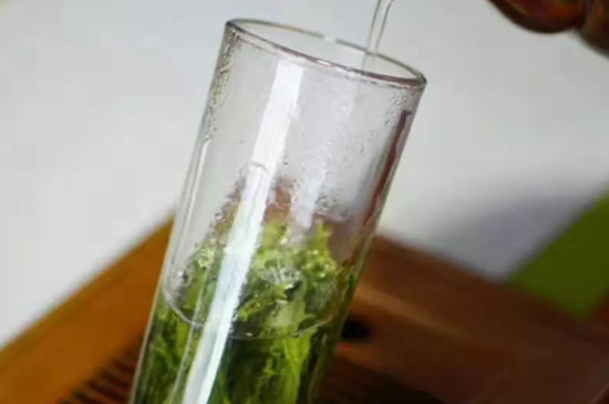 太平猴魁的正确冲泡方法