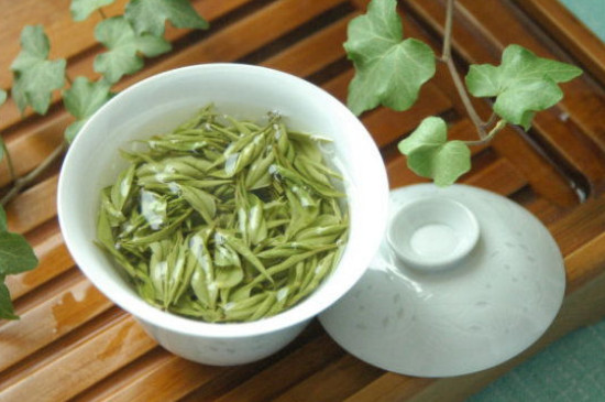 白茶適合什麼季節喝好
