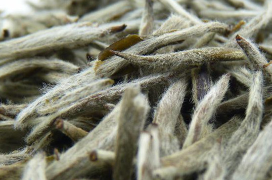 白毫銀針是什麼茶 白毫銀針屬於高檔茶嗎