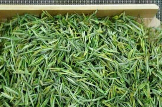 安吉白茶特点