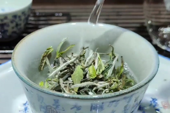 福鼎白茶保質期幾年