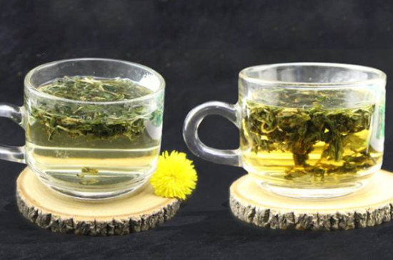女人常喝蒲公英的好處，女人一週喝幾次蒲公英茶好呀