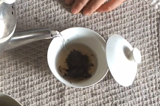 熟普洱茶怎么泡