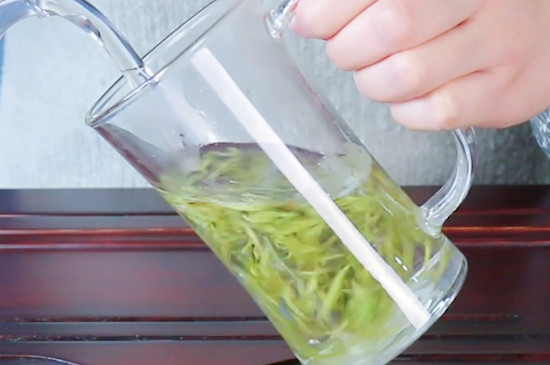雪芽是什麼茶