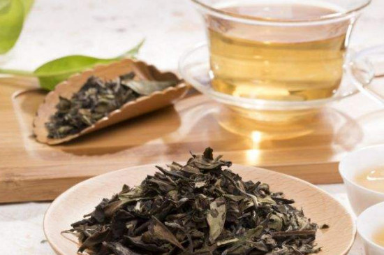 白牡丹茶不適宜什麼人