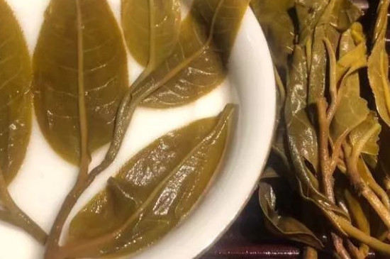 黃草林古樹茶的特點