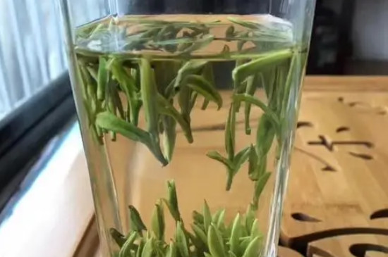 毛峰猴魁屬於什麼茶