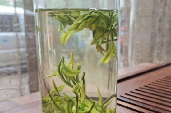 毛峰茶产于什么地方