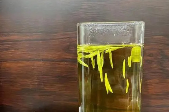 霍山黃芽怎麼儲存 黃芽茶怎麼儲存