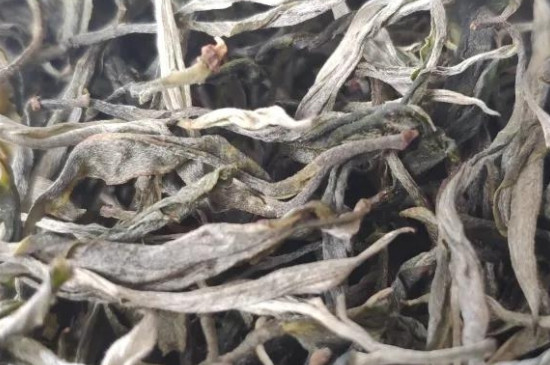喝普洱茶嗓子幹為什麼