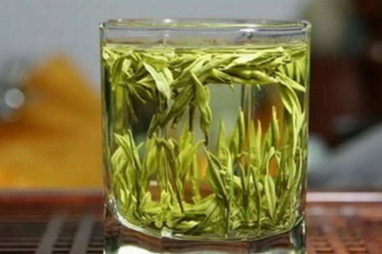 毛尖怎么泡才正确