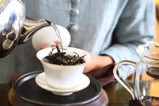 白茶应该如何冲泡