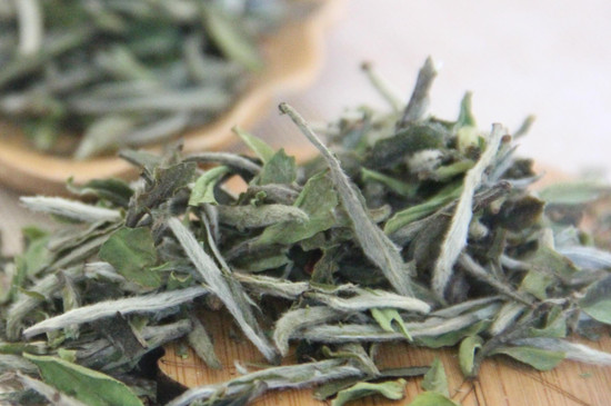 福鼎白茶保質期有多久 福鼎白茶怎樣儲存最好