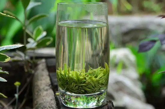 恩施玉露茶簡介