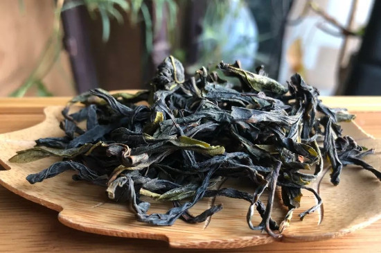 鳳凰單叢茶鴨屎香怎麼儲存