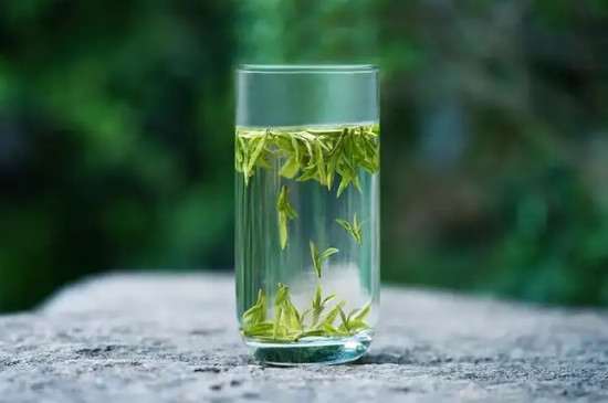 解油腻喝什么茶最好