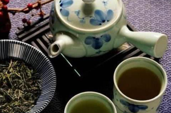 決明子菊花茶的禁忌