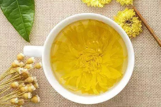 金絲皇菊的功效與作用有哪些