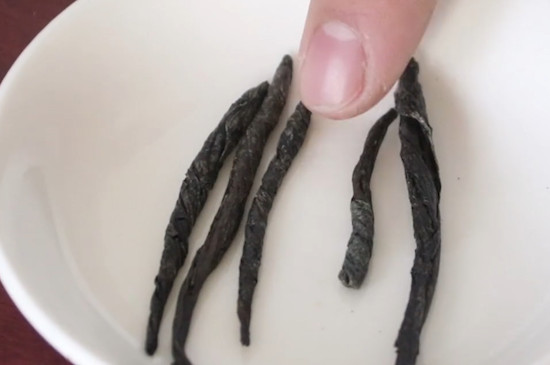 苦丁茶是什么茶