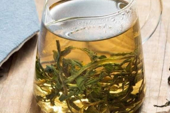 蒲公英茶是涼性還是熱性