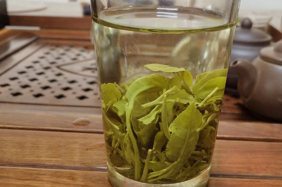 毛尖是绿茶还是红茶