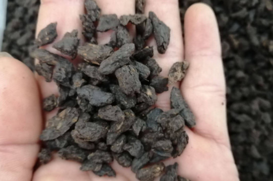 茶化石属于什么茶