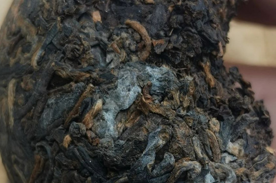 普洱茶受潮了还能喝吗