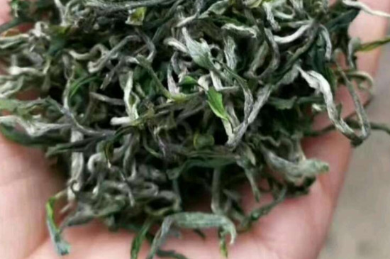 中國四大毛尖是哪四種