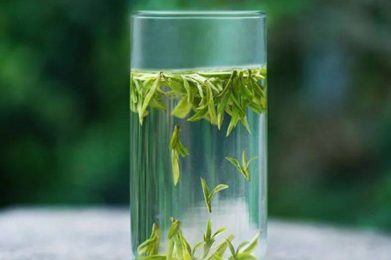 雨花茶是碧螺春吗