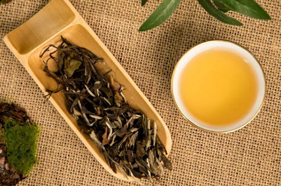 黄茶和白茶哪个好，大同小异