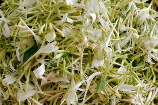 菊花金銀花枸杞茶的副作用