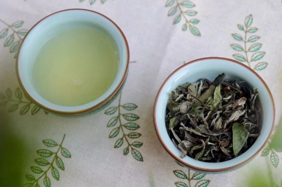 白茶饼怎么泡才好喝