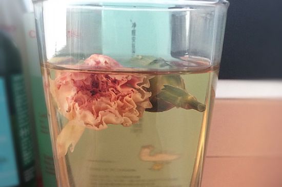 女性喝什麼茶比較好