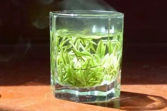 安吉白茶和福鼎白茶的区别