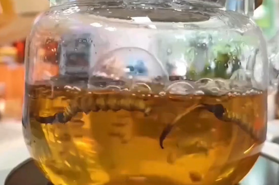 冬虫夏草泡水喝的方法