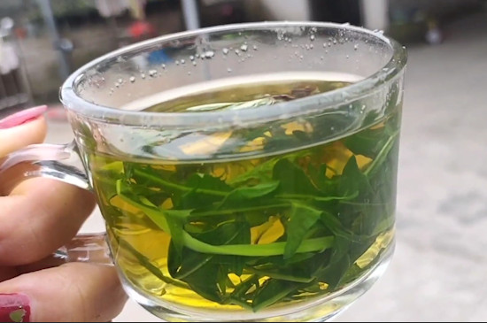 蒲公英茶的功效与作用