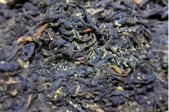 茶葉會發黴嗎