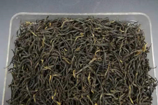 銀駿眉是什麼茶